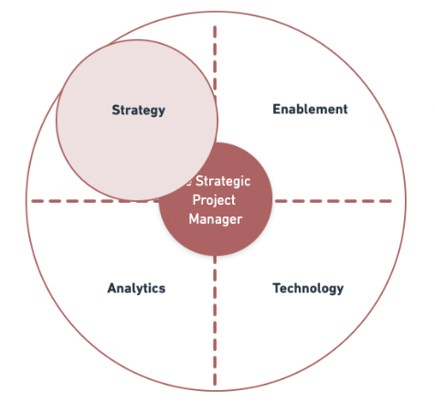 Strategic Project Manager